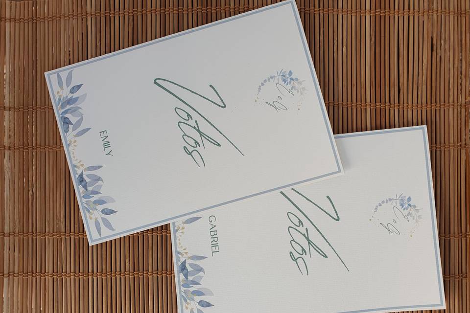 Livro votos