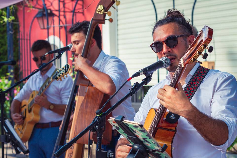 Musicos