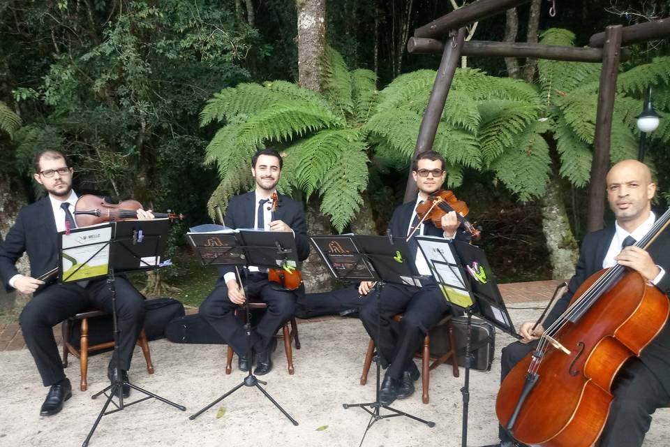 Quartetto de Cordas Wmello