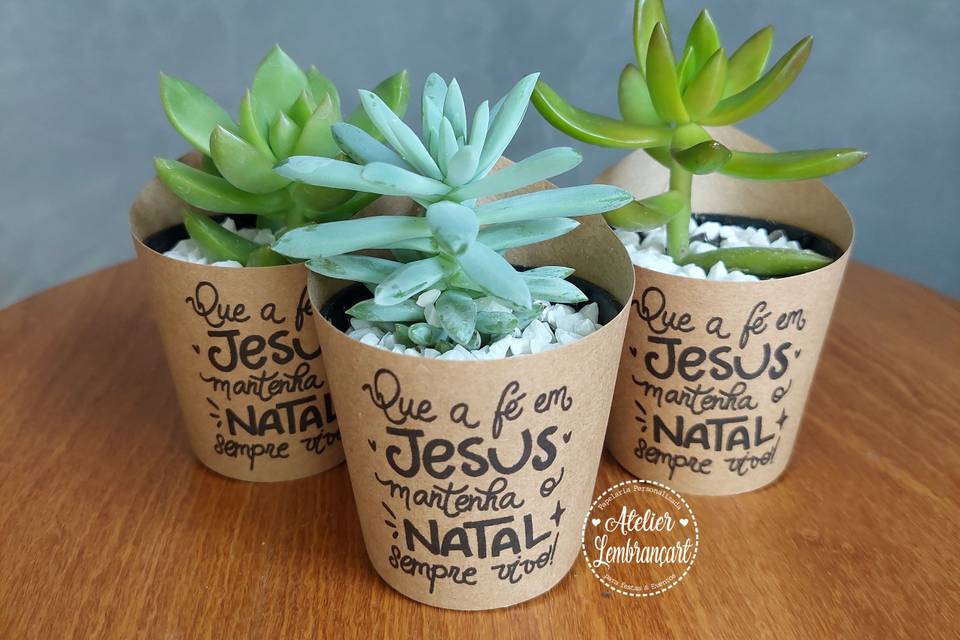 Suculenta Personalizada