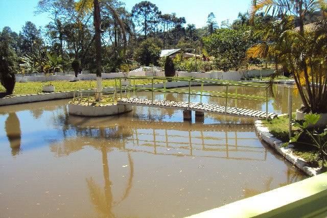 Ponte sobre o Lago