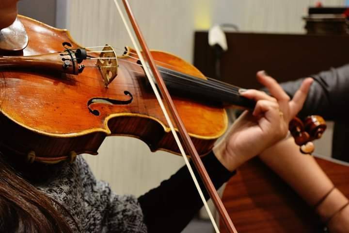 Violino