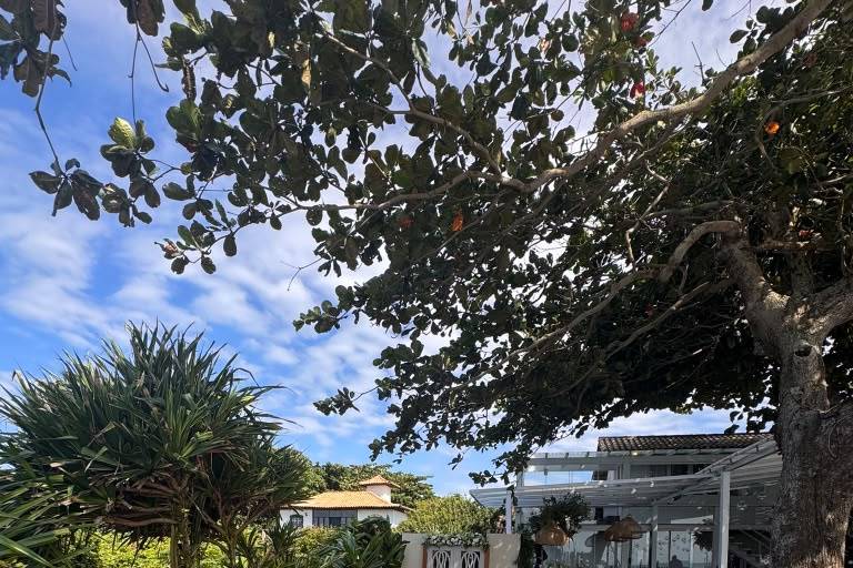 Cerimonia no jardim