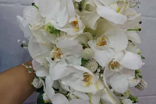 Lírios e orquídeas