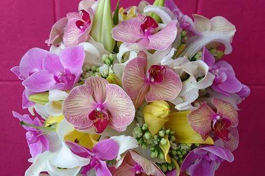 Buquê de orquídeas