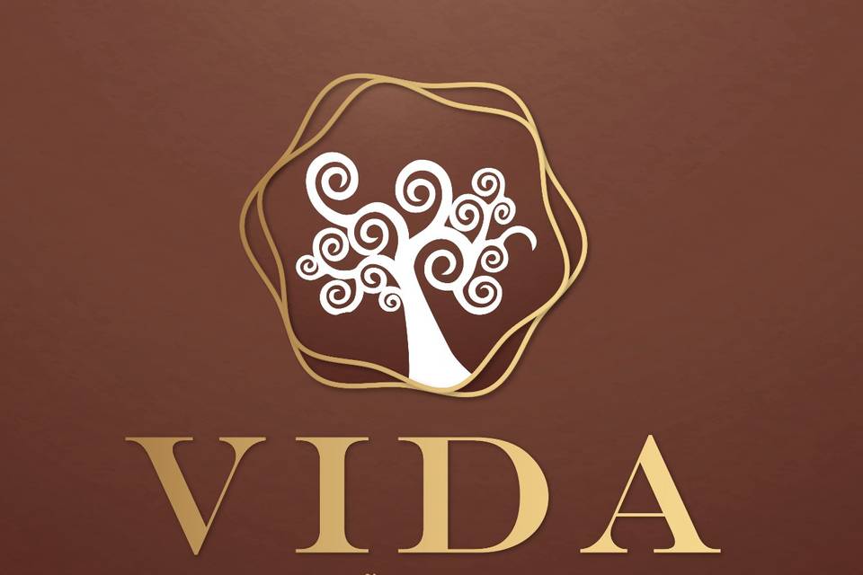 Logo VIDA Salão & Spa
