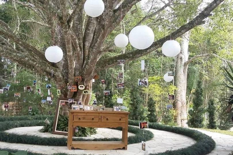 Arboretto Eventos