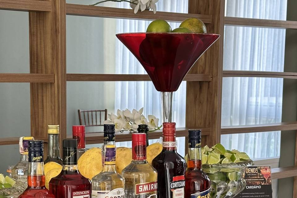 Bebidas4