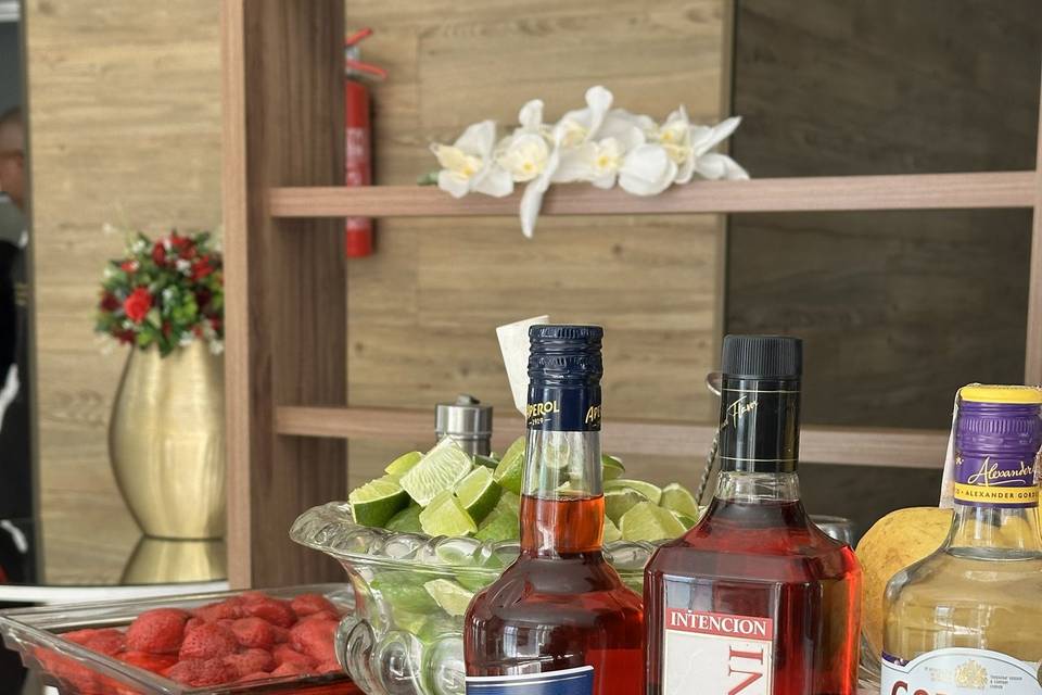 Bebidas5