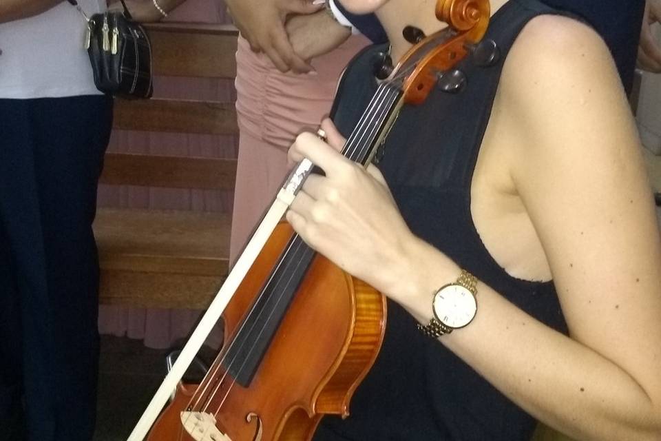 Violino