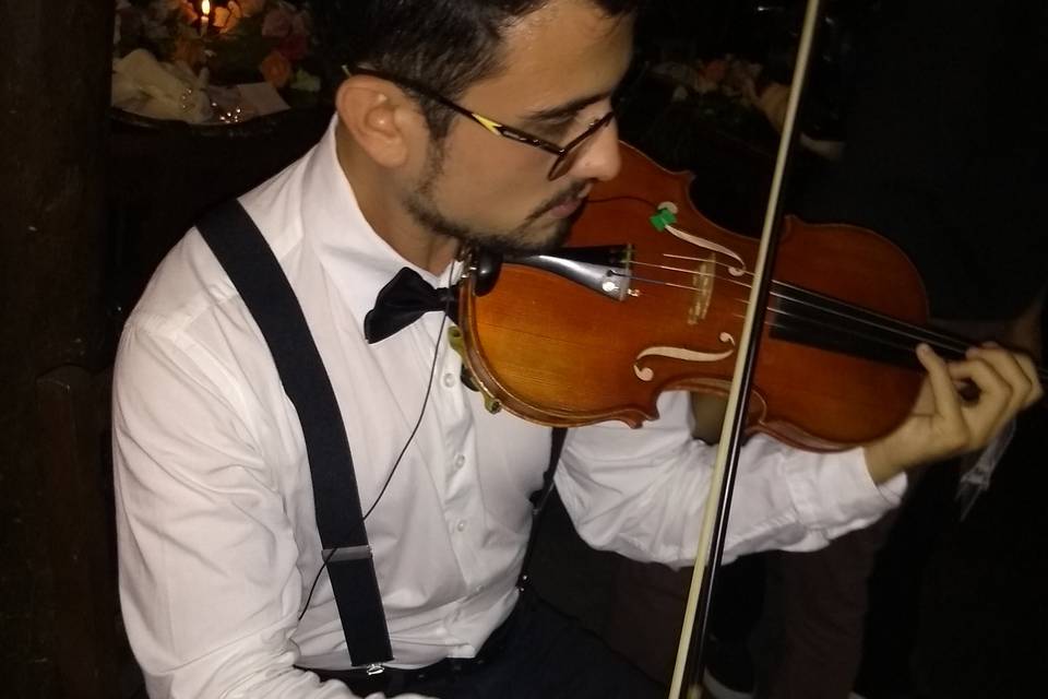 Violinista