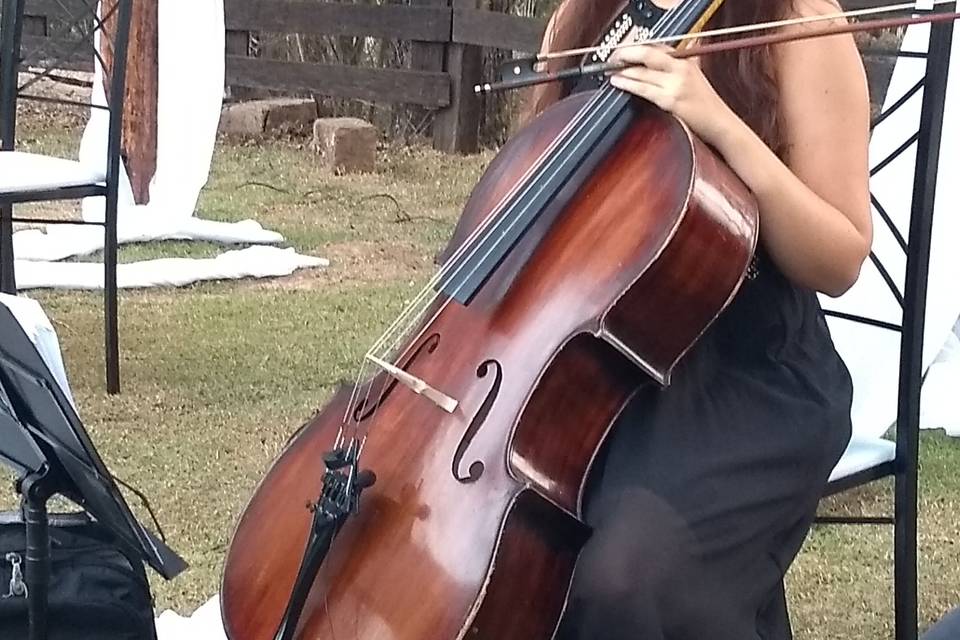 Cello