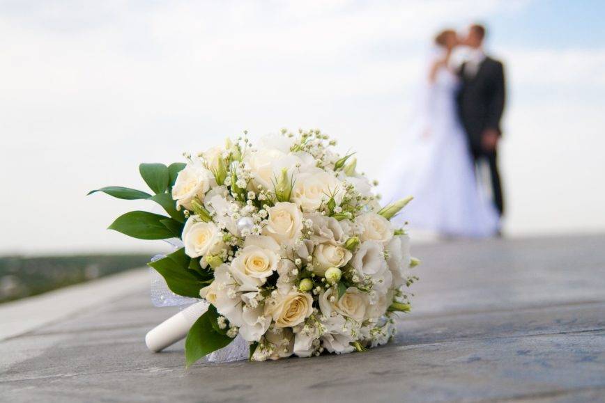 Antonio Lemos Fotografia