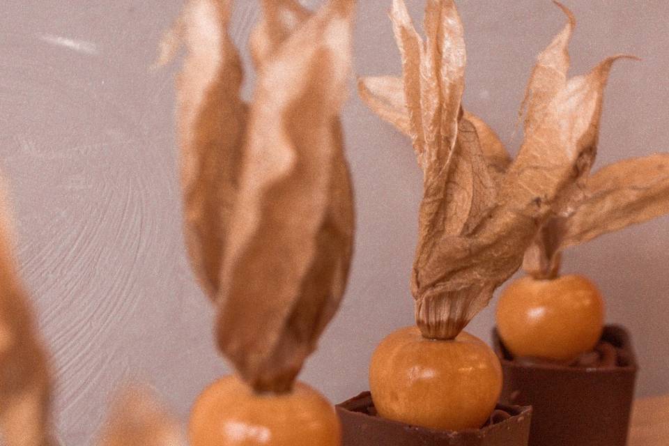 Physalis