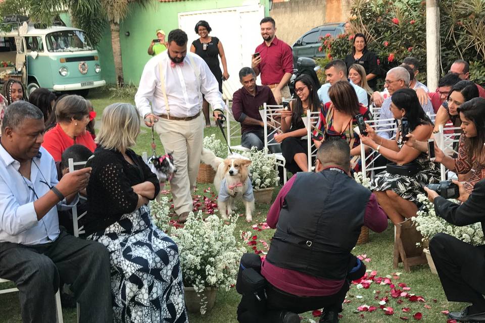 Ana Caldas Celebrante