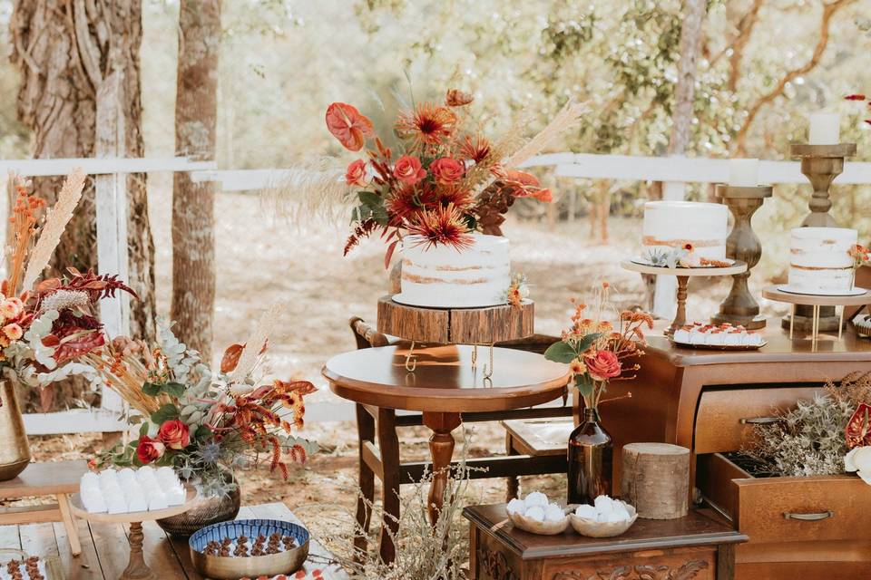 Casamento na fazenda