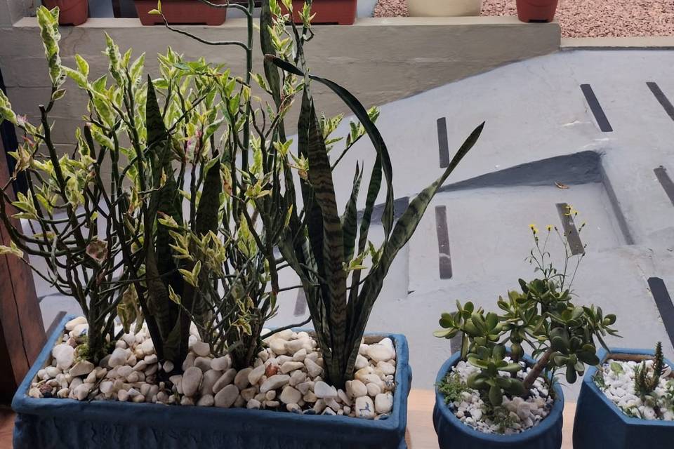 Área externa linda
