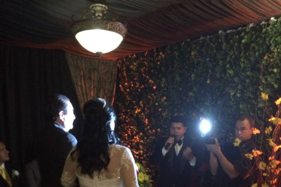 Neuzimar & Guilhermon 2015