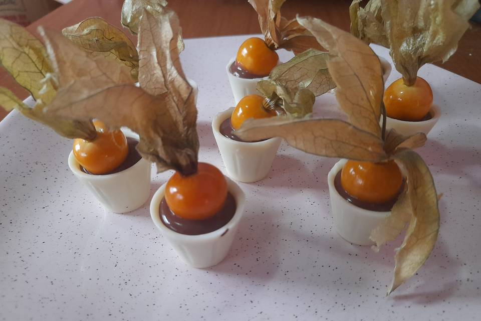 Cx Physalis