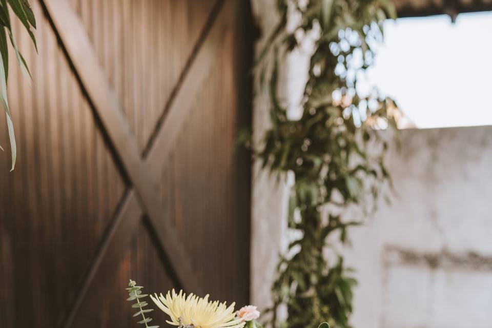 Acácia Flor Floricultura