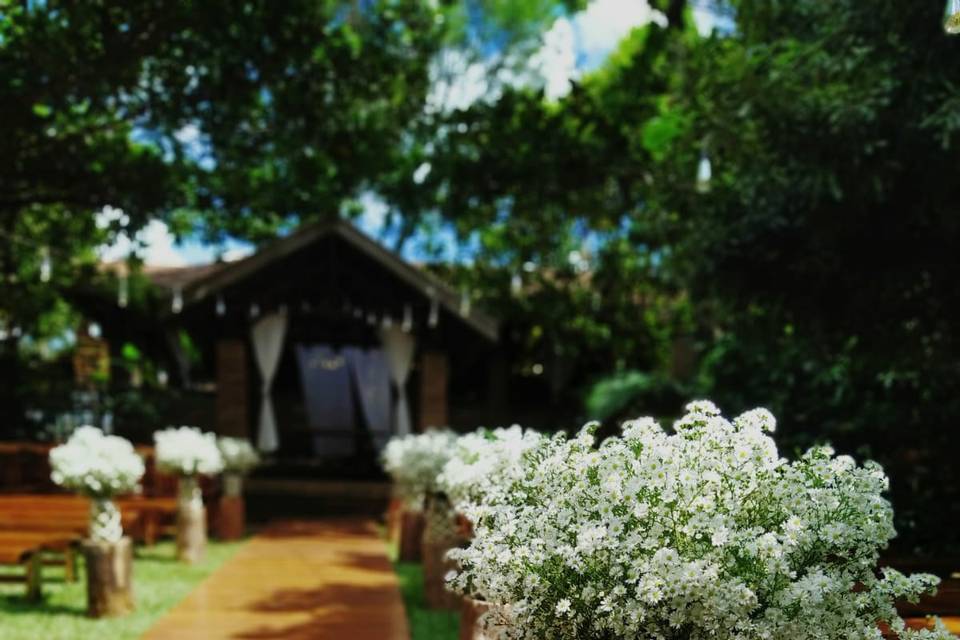 Acácia Flor Floricultura