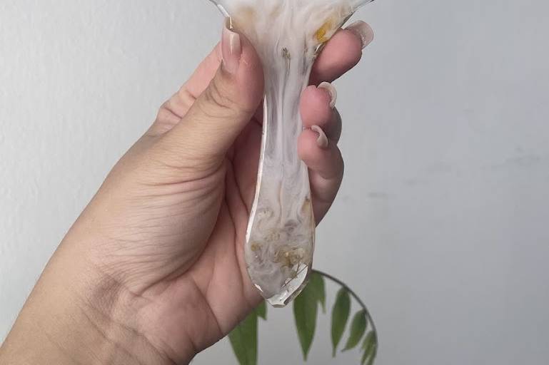 Espelho com Flores Secas