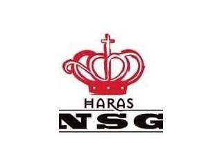 haras nsg logo