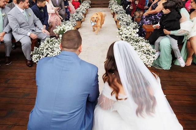 Pets no Casamento Assessoria