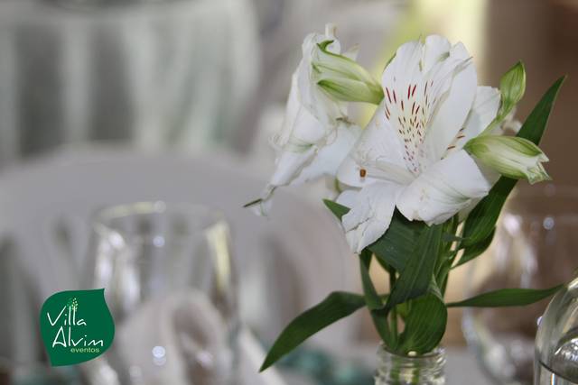 Villa Alvim Eventos