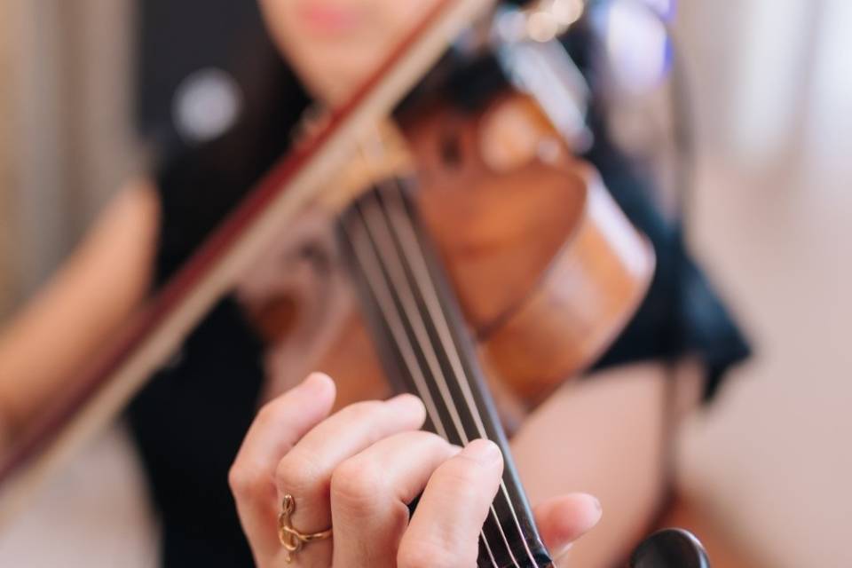 Violinista