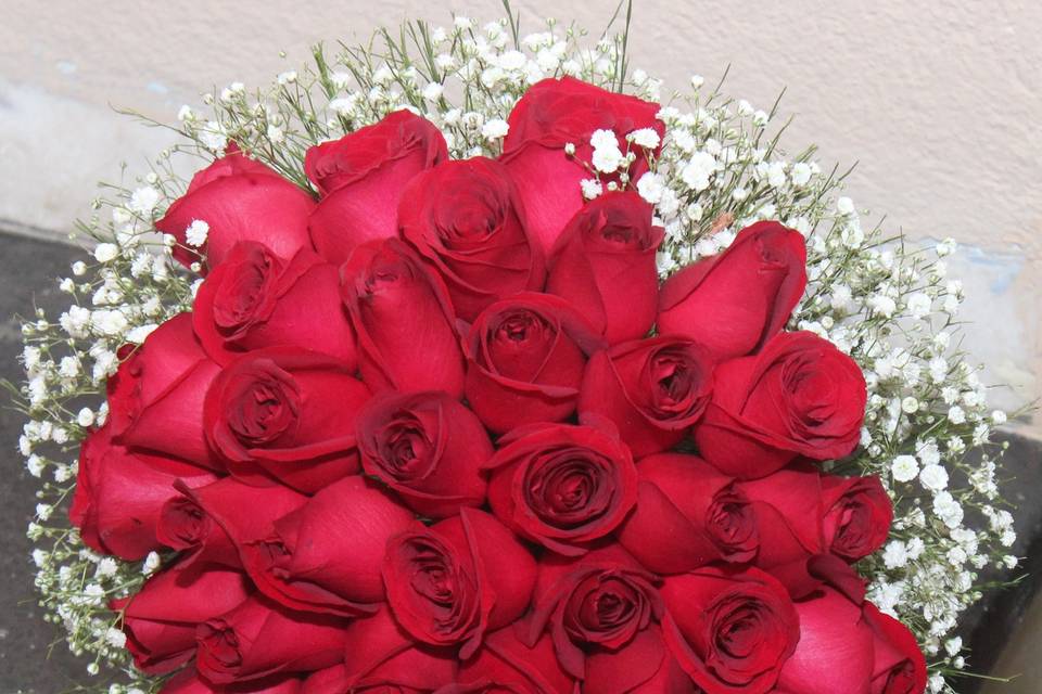 Rosas vermelhas com gipson