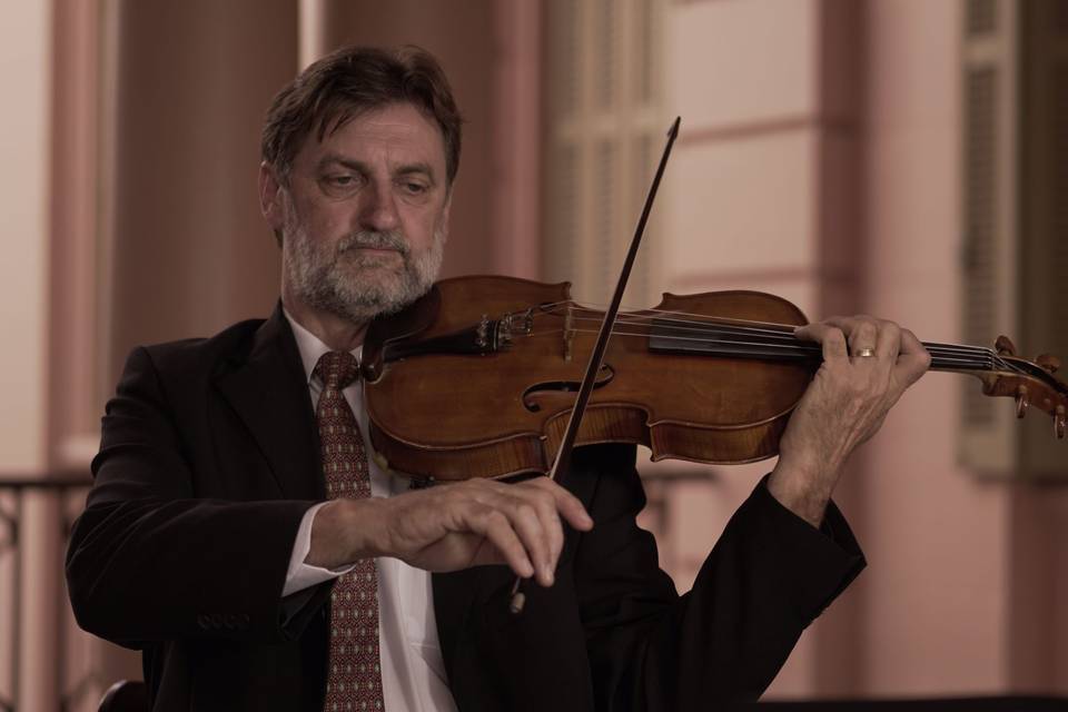 Viola