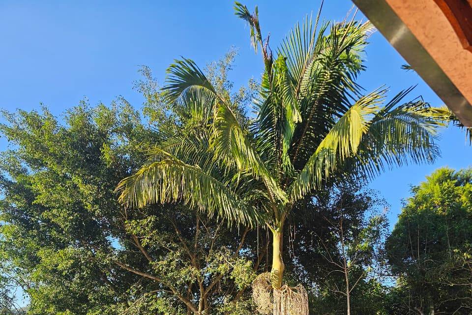 Jardim Integrado