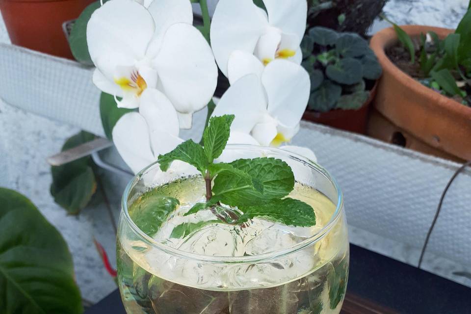 Basil Gin