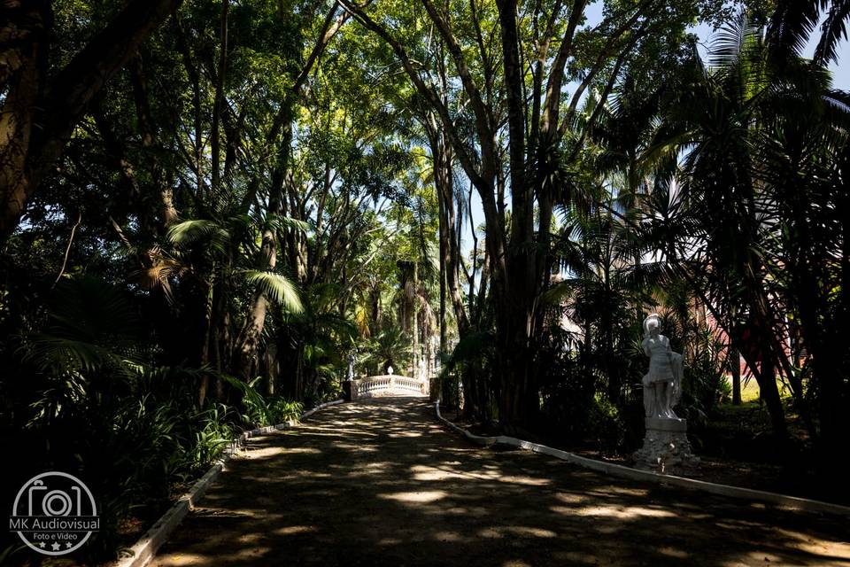 Entrada