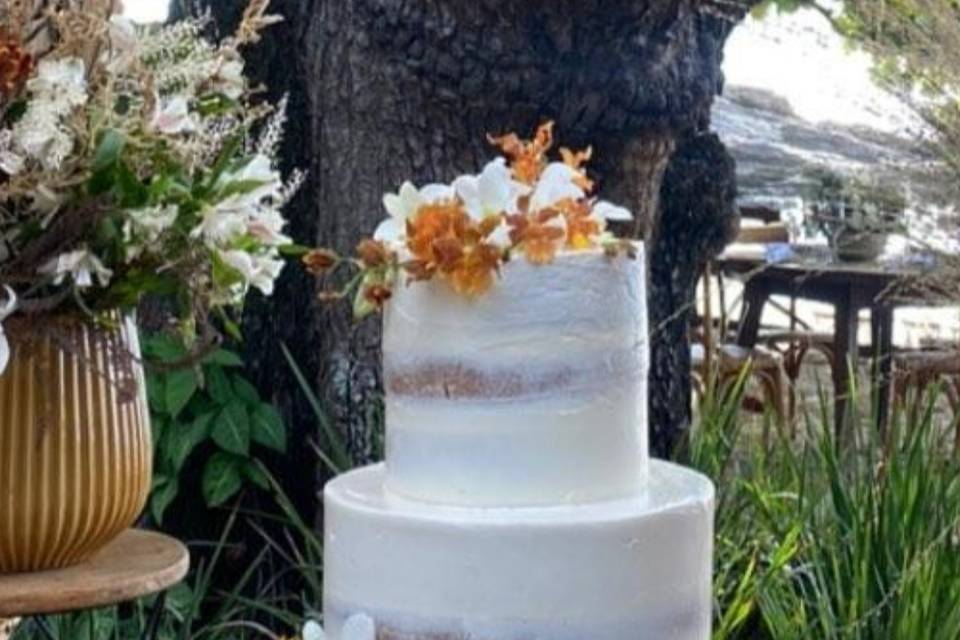 Bolo Semi Naked cake