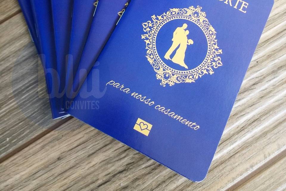 Passaporte | Azul/Dourado