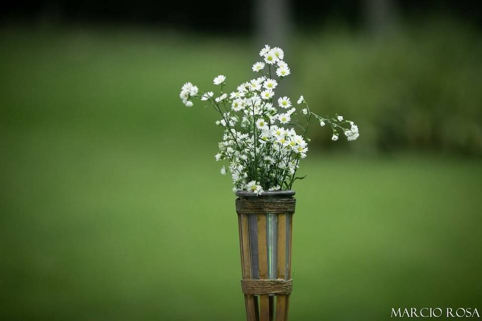 Tocheiros - flores ou fogo