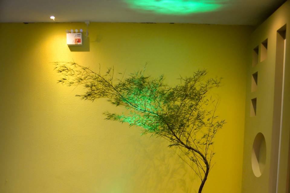 Decoração