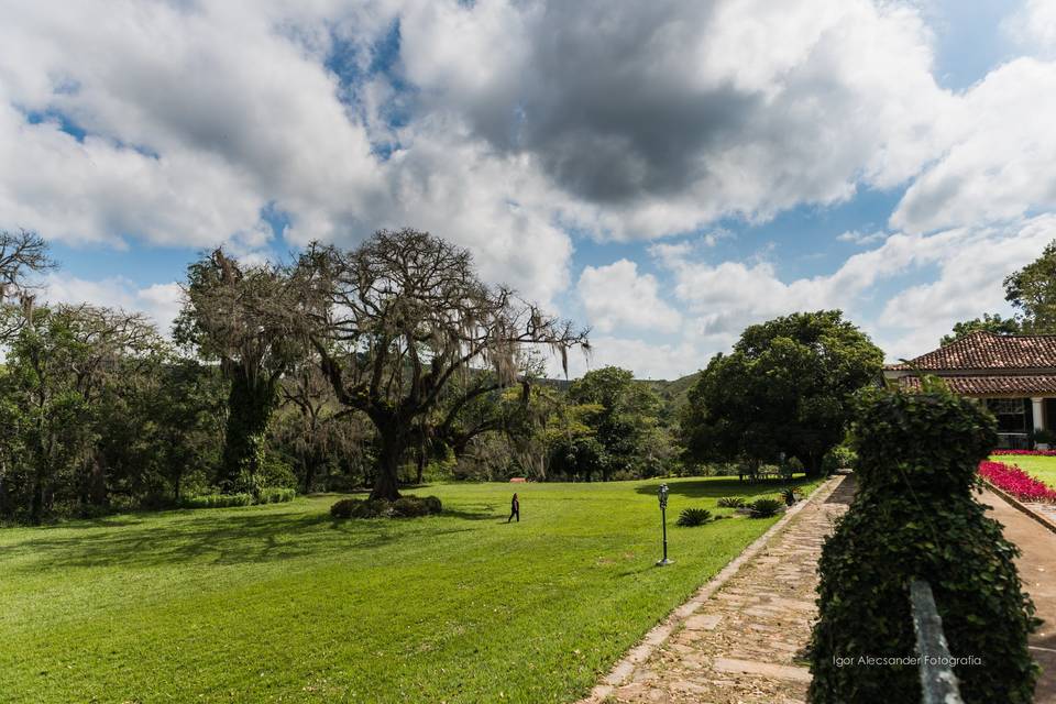 Vista para o gramado