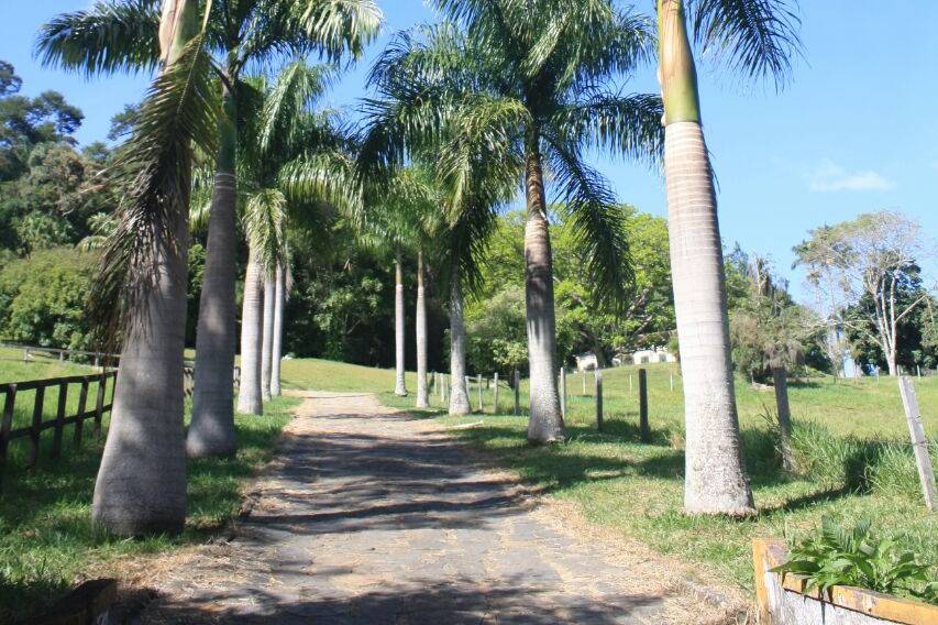 Lago com chafariz