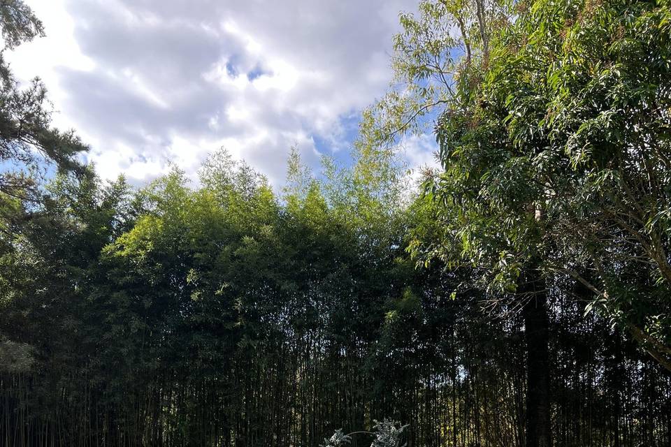 Bosque da Posse