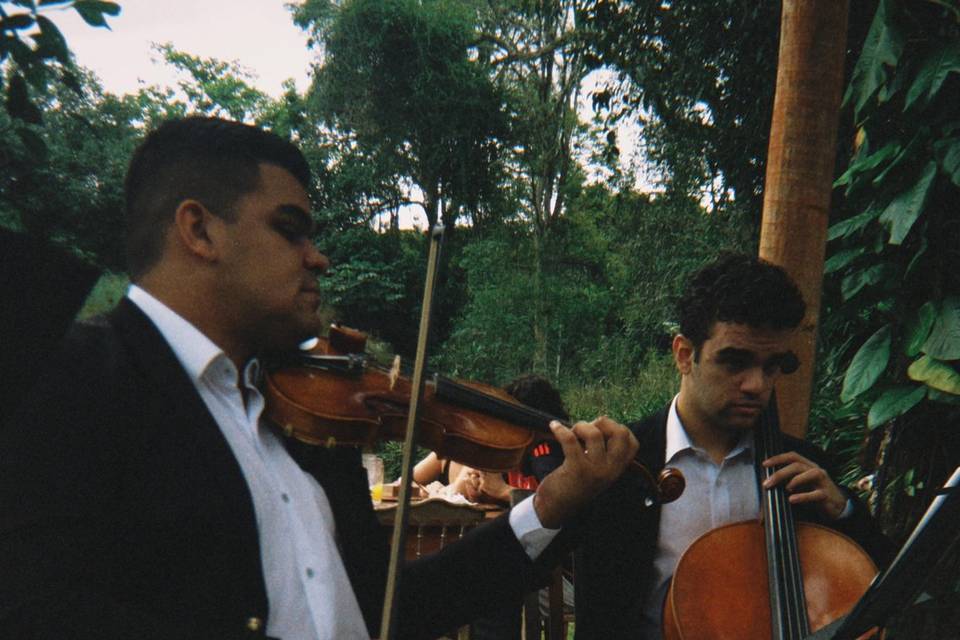 Música