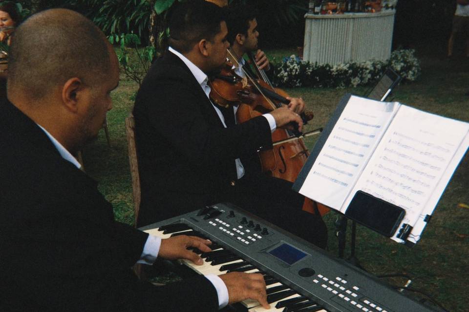 Lotus Musical