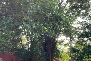 Entrada do salão de festas