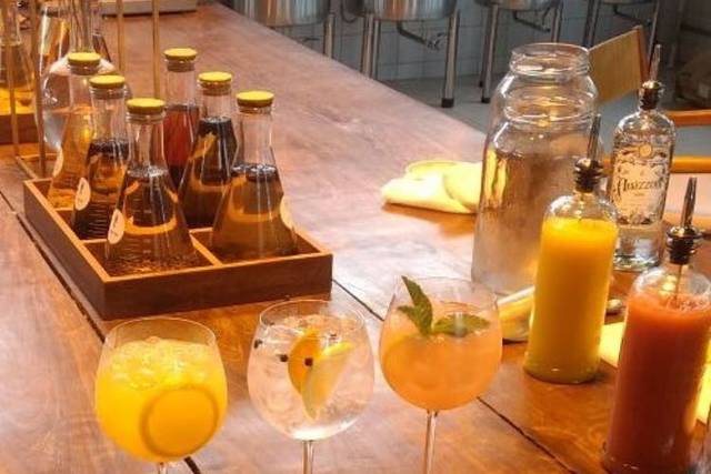 Degustação de Gin