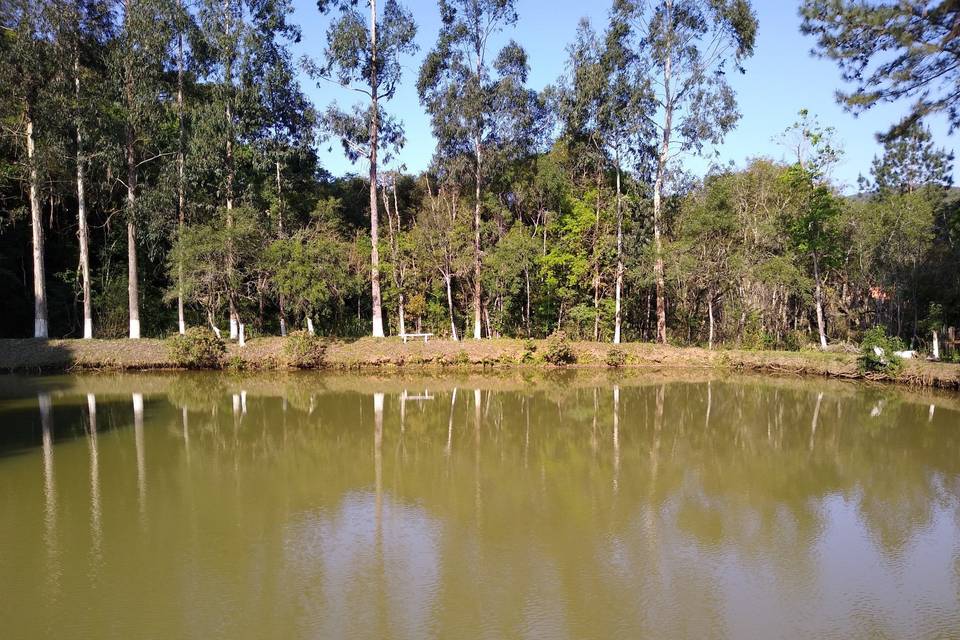 Lago panorâmico