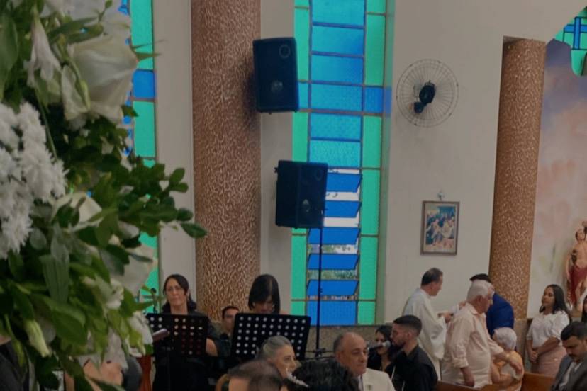 Anna Cecília e Luís Fernando