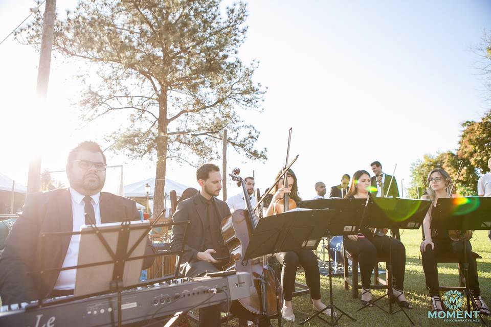 Músicos para casamento