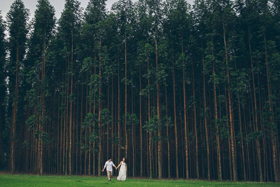 Marcelo Alpi Wedding Photo